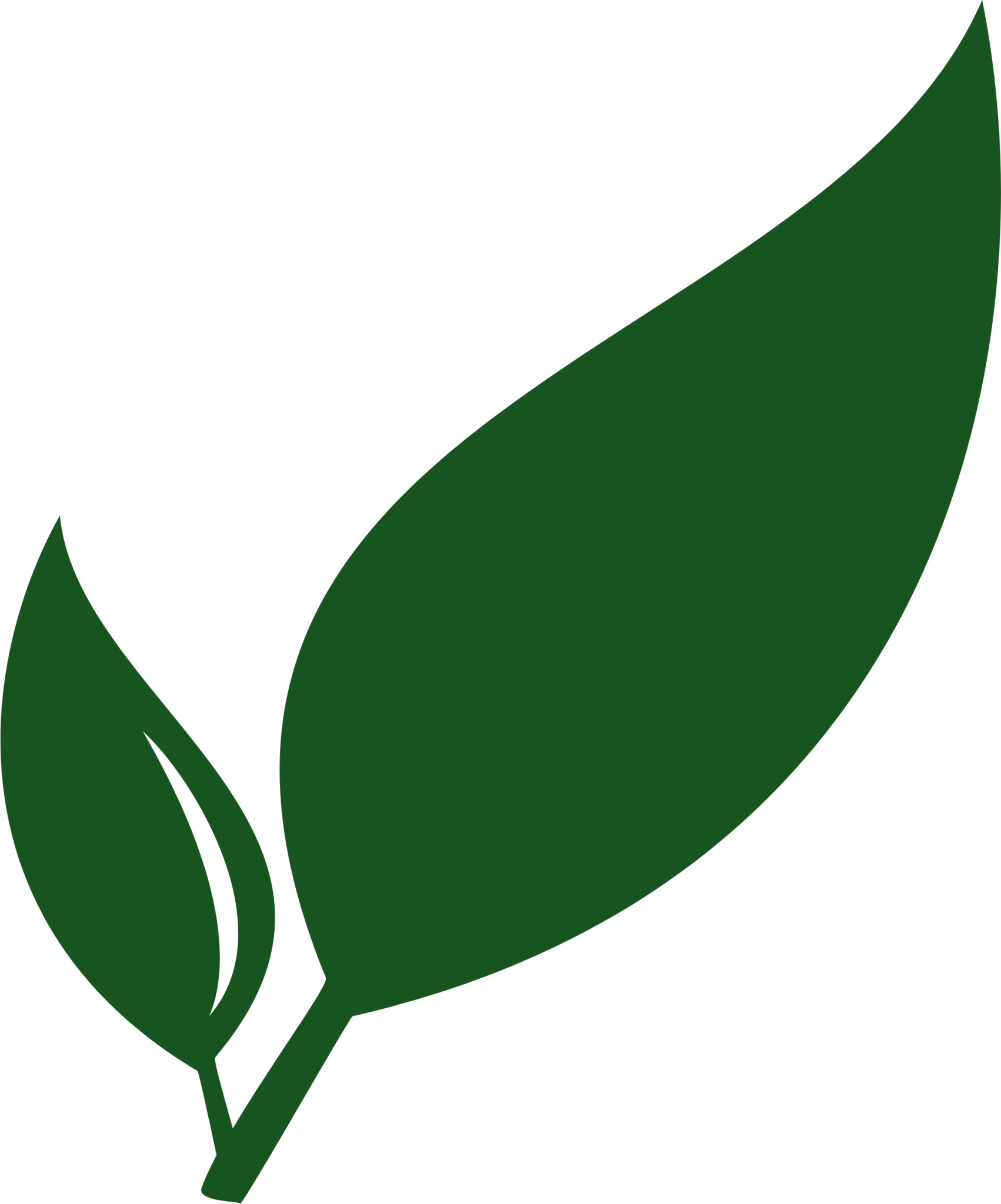 Paperless NGX Logo